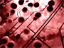 bloodflow_xs.png