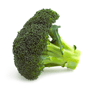 broc_xs.png