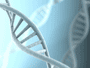 dna_xs_1.png