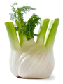 fenchel_xs.png