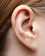 human_ear_xs.png