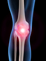 knee_xs.png