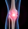 knee_xs.png