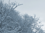 winter_landscape_xs.png