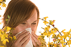 Kurzzeitlüften und häufiges Staubwischen senkt Pollenbelastung in Räumen