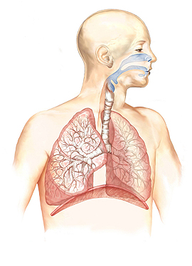 Lungenobstruktion behandeln verbessert auch die Herzfunktion