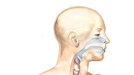 Sommerhitze und die Konsequenz für Mund- und Rachenraum