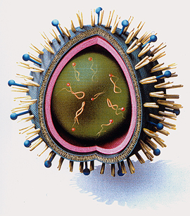 Immunsystem im Winter stark machen
